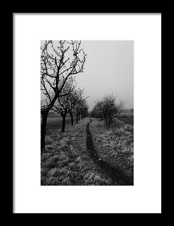  Framed Print featuring the photograph Looking for Somewhere by Jon Emery