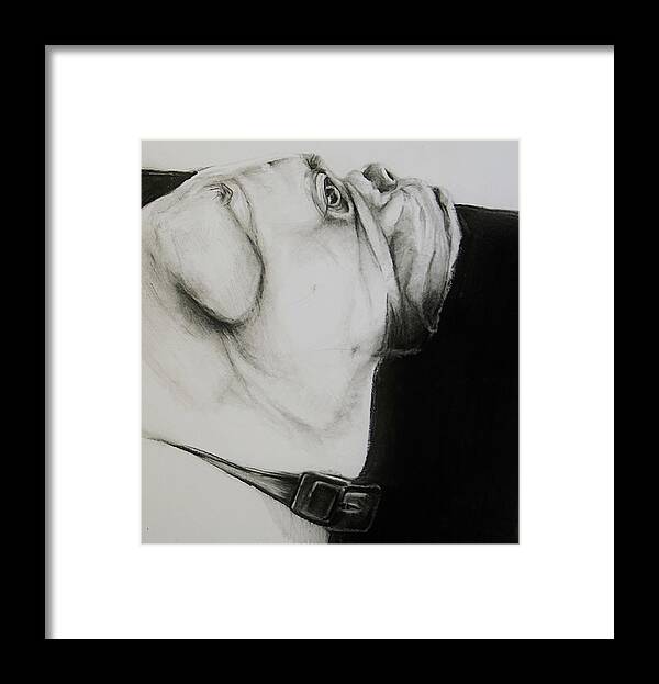 Dog Framed Print featuring the drawing Looking Up by Jean Cormier