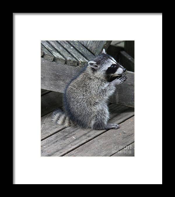 Mammals Framed Print featuring the photograph Lord thank you for this day by Kym Backland