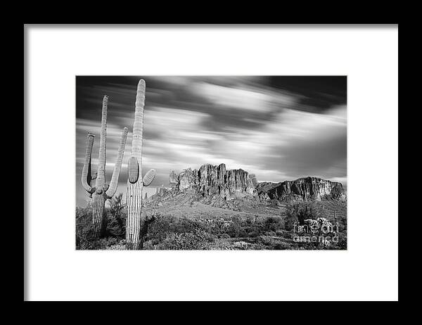 Plant Framed Print featuring the photograph Lost Dutchman State Park - Arizona by Henk Meijer Photography