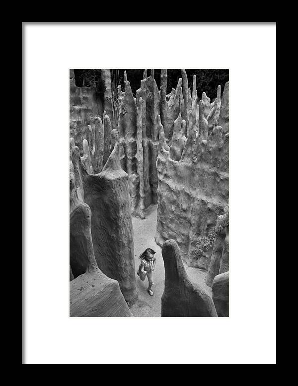 Fantasy Framed Print featuring the photograph Lost in a Black and White Dream by Mary Lee Dereske