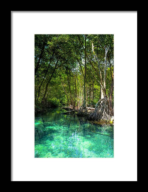 Blue Framed Print featuring the photograph Lost Lagoon On The Yucatan Coast by Mark Tisdale