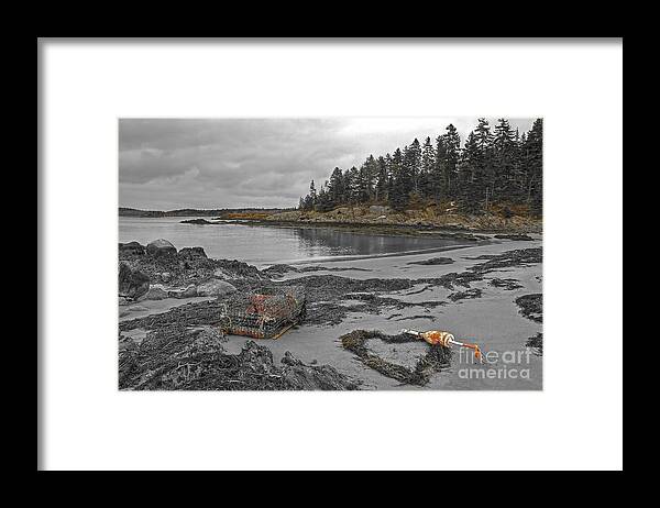 Maine Framed Print featuring the photograph Lost Love by Brenda Giasson