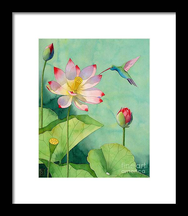 Watercolor Framed Print featuring the painting Lotus And Hummingbird by Robert Hooper