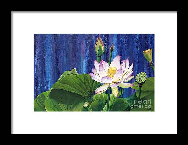 Lotus Flower Framed Print featuring the painting Lotus Dream by Patty Vicknair
