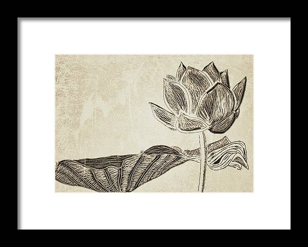 Lotus Framed Print featuring the drawing Lotus Flower and Leaf by Patricia Januszkiewicz