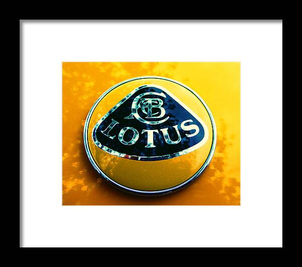 Lotus Framed Print featuring the photograph Lotus Logo in Spring 9 by Laurie Tsemak