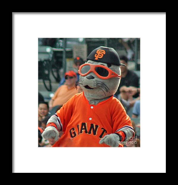 San Francisco Giants Fan Framed Print featuring the photograph Lou Seal San Francisco Giants Mascot by Tap On Photo