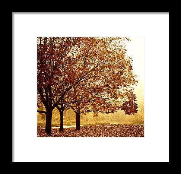 Louisville Framed Print featuring the photograph Louisville Fall 2 by Marilyn Hunt