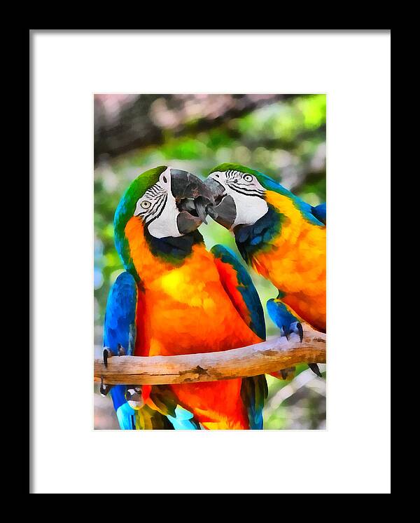 Blue Framed Print featuring the painting Love Bites - Parrots in Silver Springs by Alexandra Till