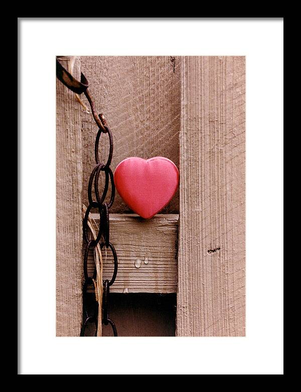 Heart Framed Print featuring the photograph Love Lorn by Tom Baptist