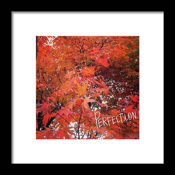  Framed Print featuring the photograph Love This Time Of Year 😊 by Blenda Studio
