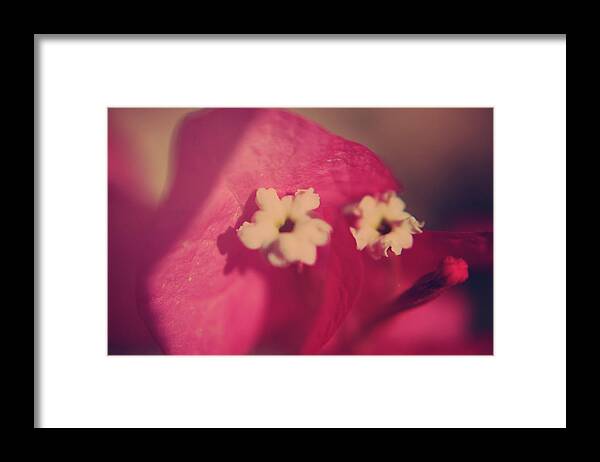 Flowers Framed Print featuring the photograph Loved by Laurie Search