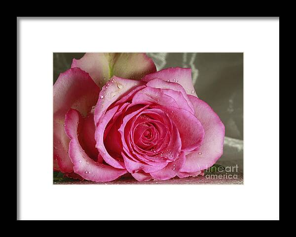 Loves Tender Moments Framed Print featuring the photograph Loves Tender Moments by Inspired Nature Photography Fine Art Photography