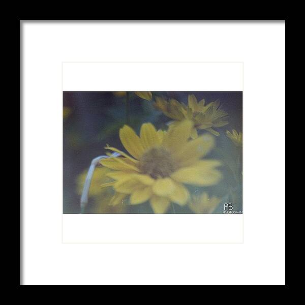 Vintage Framed Print featuring the photograph Loving This Photo Right Now. #35mm by Pb Photography