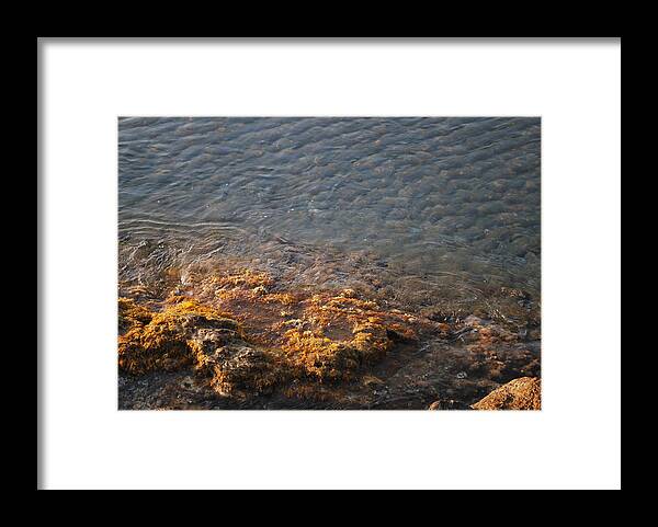 Low Tide Framed Print featuring the photograph Low Tide by George Katechis
