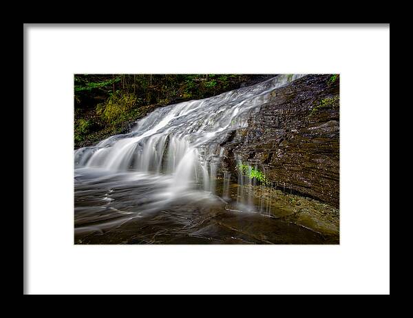Bush Framed Print featuring the photograph Lower Little Falls by Jakub Sisak