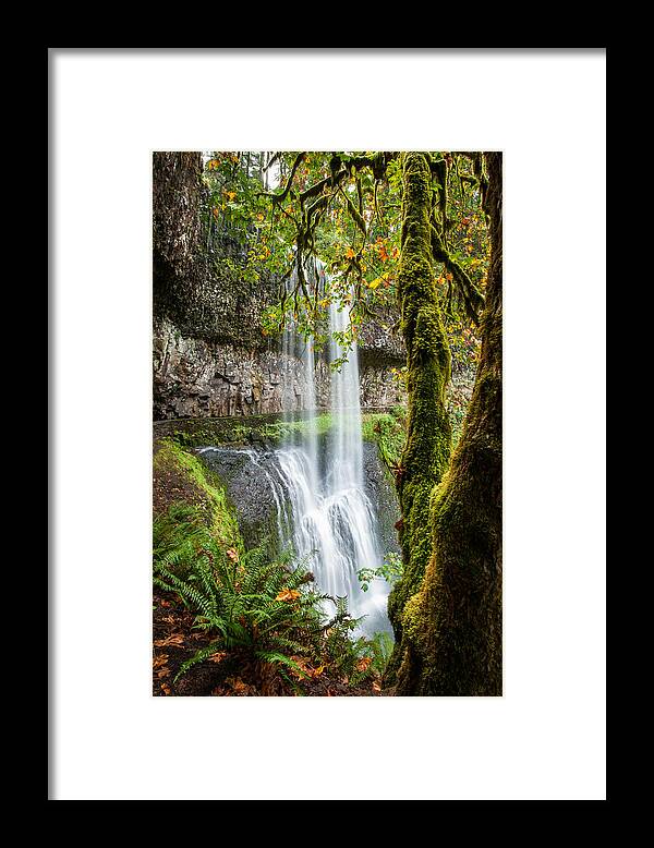 Silver Falls State Park Framed Print featuring the photograph Lower South Falls by Brian Bonham