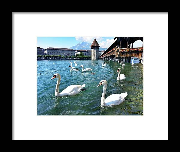 Standing Water Framed Print featuring the photograph Lucerne - Swans Chapel Bridge - by Werner Büchel