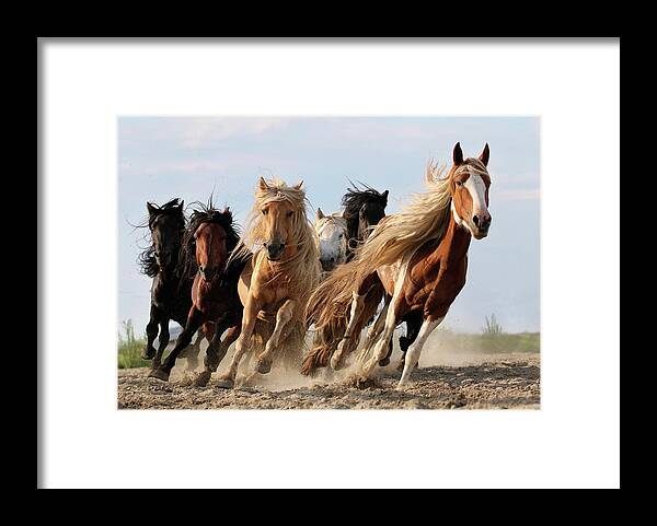 #faatoppicks Framed Print featuring the photograph Lucky Six by Adam Wong