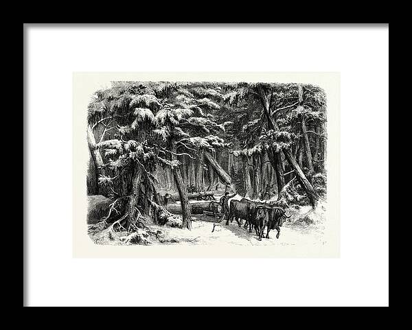 Lumbering Framed Print featuring the drawing Lumbering In New Brunswick by English School