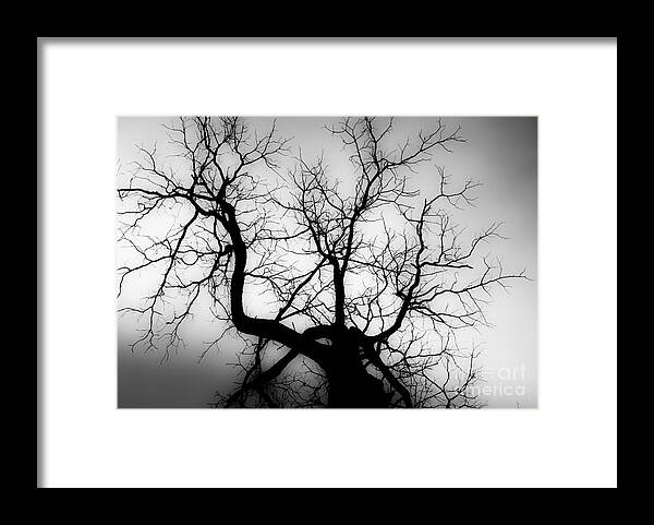 Delta Framed Print featuring the photograph Luminosity by Michael Arend
