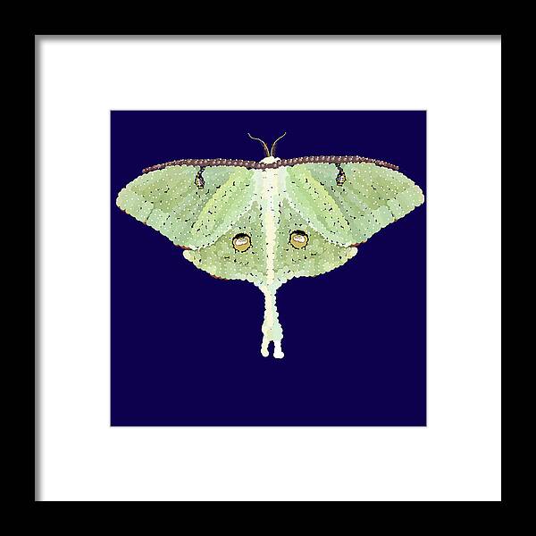  Framed Print featuring the digital art Luna Moth Pixel Pointillized by R Allen Swezey