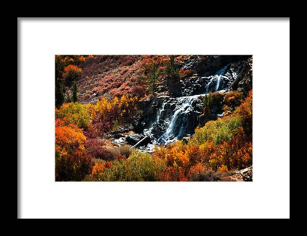 Sierra Nevada Framed Print featuring the photograph Lundy Canyon Falls by Lynn Bauer