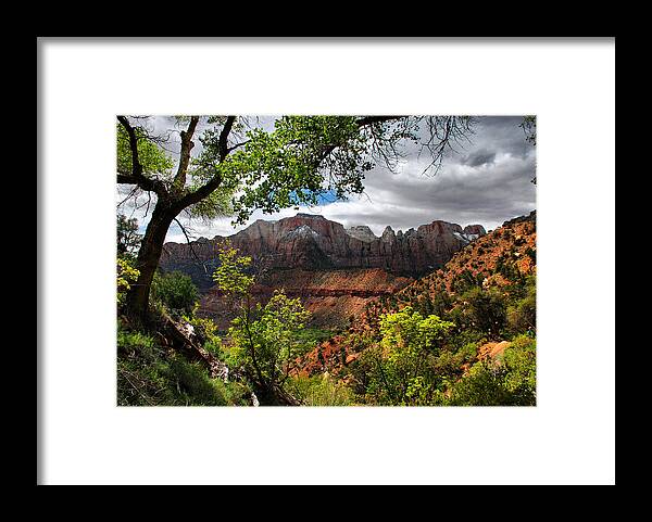 Landscape Framed Print featuring the photograph Luscious View by Barbara Manis