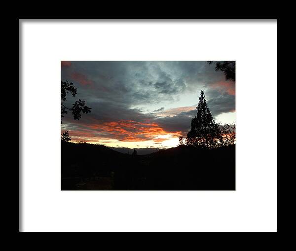 Natural Framed Print featuring the photograph Lush Evening View by William McCoy