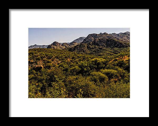 2011 Framed Print featuring the photograph Lush Foothills No.1 by Mark Myhaver