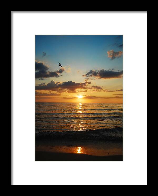  Framed Print featuring the photograph Lwv30059 by Lee Winter