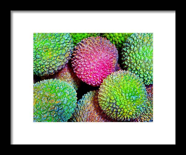Lychee Framed Print featuring the photograph Lychee Bright by Laurie Tsemak