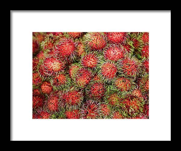 Retail Framed Print featuring the photograph Lychee,hanyu Pinyin by Gary Yeowell