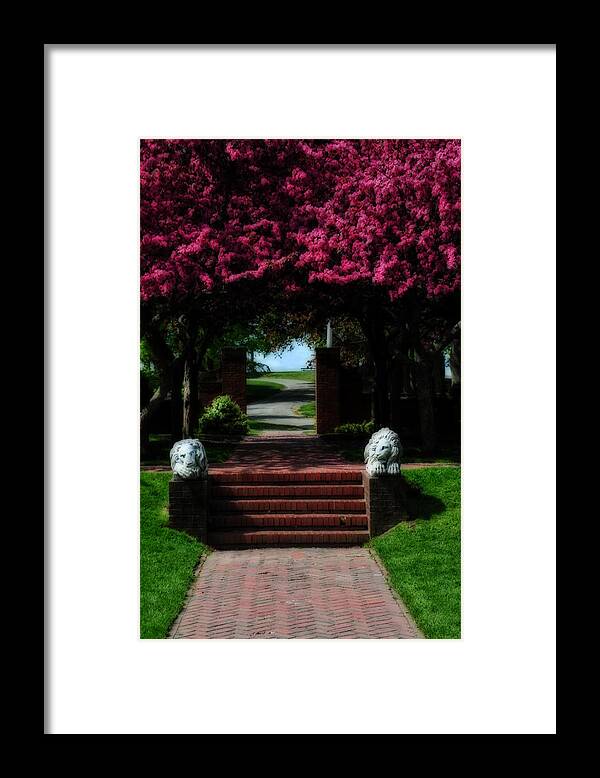 Park Framed Print featuring the photograph Lynch Park by Mike Martin