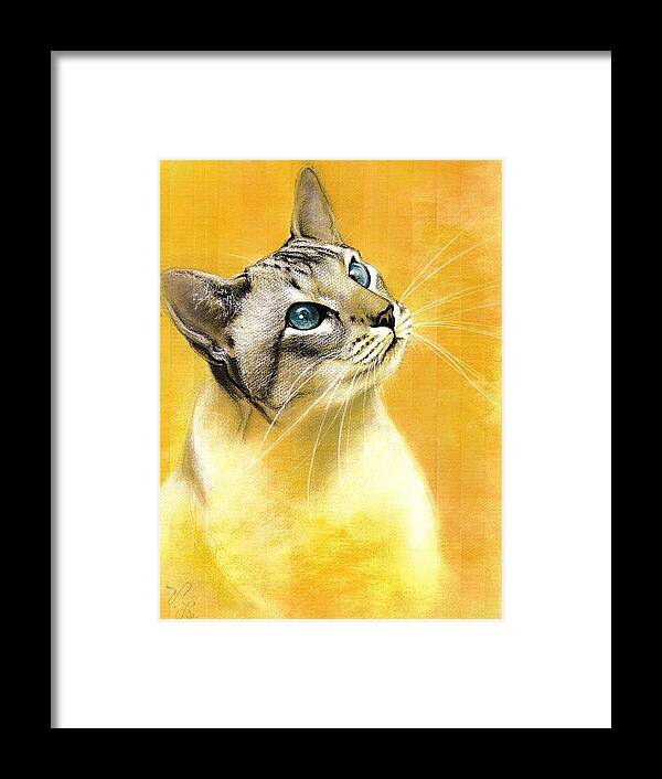 Cat Framed Print featuring the drawing Lynx Point Siamese by VLee Watson