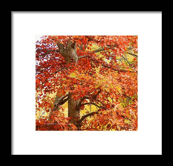 Oak Tree Red And Gold Fall Colors Framed Print featuring the photograph Oak Tree in Fall - M Landscapes Fall Collection No. LF4 by Monica C Stovall