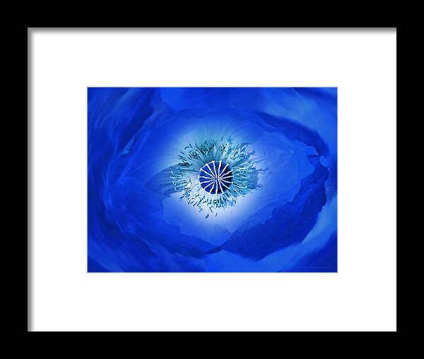Poppy Framed Print featuring the photograph Macro Blue Poppy Flower Abstract by Jennie Marie Schell