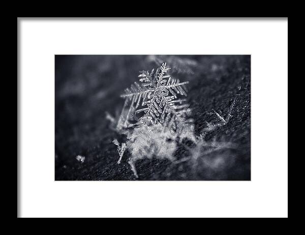 Macro Framed Print featuring the photograph Macro Snowflake by Amber Flowers