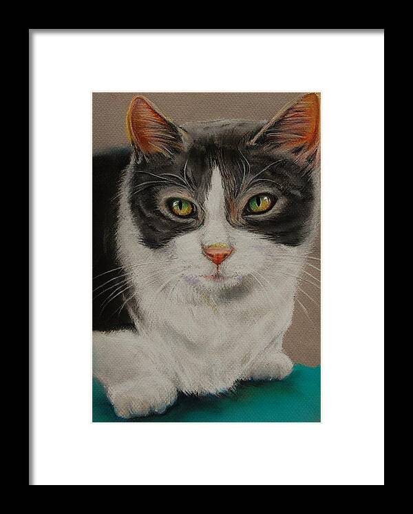 Gray And White Cat Framed Print featuring the drawing Macy Gray Cat by Jean Cormier