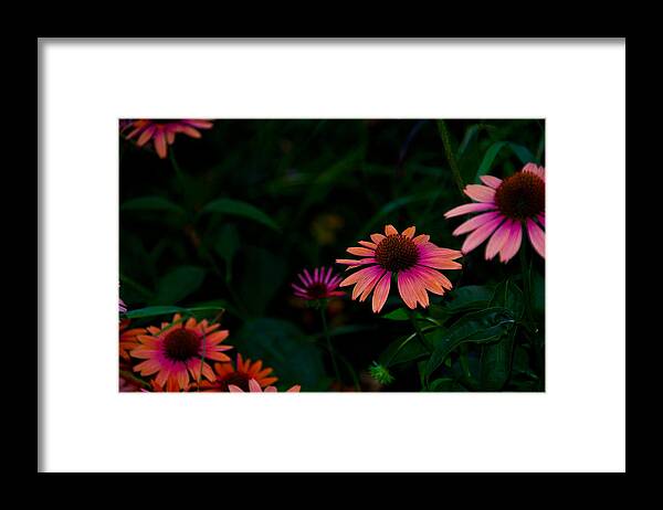Flowers Framed Print featuring the photograph Magenta and Orange by Larry Goss