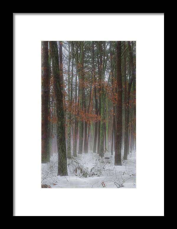 Fog Framed Print featuring the photograph Magic in the Fog 1 by Beth Sawickie