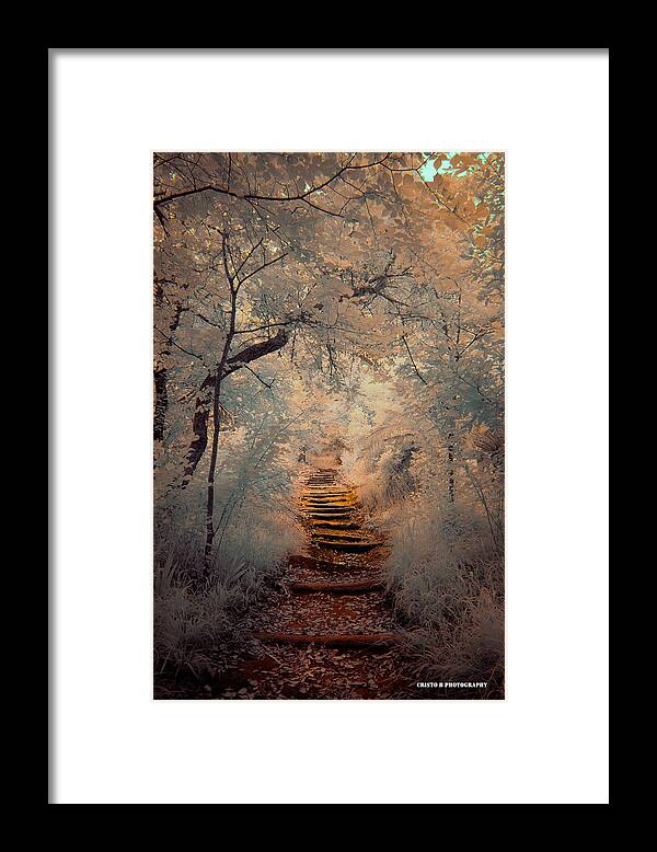 Magic Framed Print featuring the photograph Magic path by Cristo Bolanos