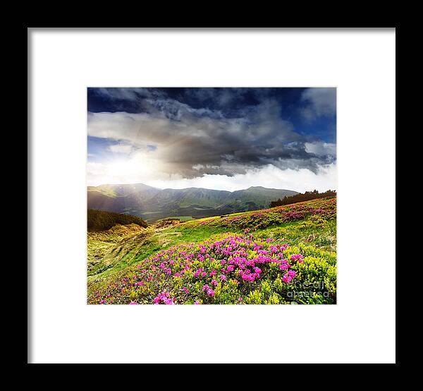 Magic Pink Framed Print featuring the photograph Magic pink summer mountain by Boon Mee