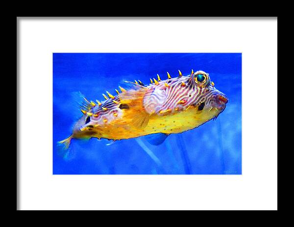 Fish Framed Print featuring the painting Magic Puffer - Fish Art By Sharon Cummings by Sharon Cummings
