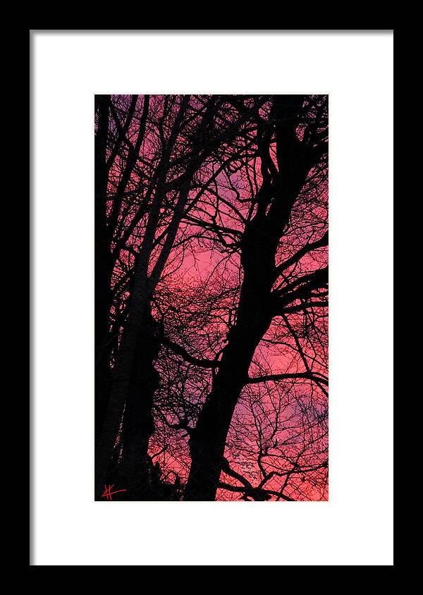 Colette Framed Print featuring the photograph Magic Sunset by Colette V Hera Guggenheim