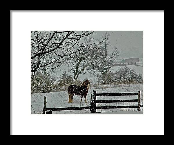  Framed Print featuring the photograph Magic by Tracy Rice Frame Of Mind