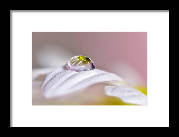 Drop Framed Print featuring the photograph Magical Drop by Jes?s M. Garc?a