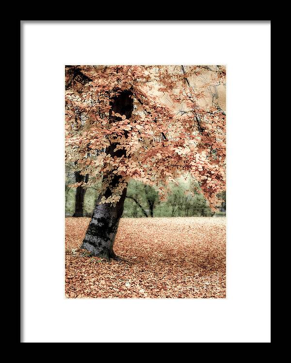 Autumn Framed Print featuring the photograph Magical Fall by Hannes Cmarits