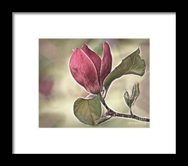 Magnolia Framed Print featuring the photograph Magnolia Glow by Susan Candelario